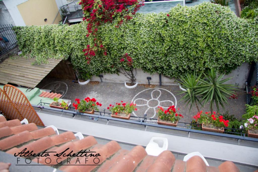 B&B Elena Pompei Exteriér fotografie
